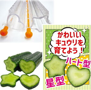 デコきゅう「星とハート 2本セット」(カネコ種苗) 【送料込み】 胡瓜/キュウリの型どりケース/でこきゅう/キャラ弁/お弁当/繰返し使用