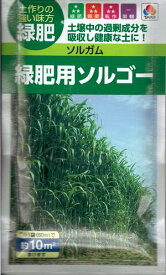 牧草種子　『　タキイ種苗　』　ソルガム(緑肥用ソルゴー)　60ml袋詰　【　送料込み　】