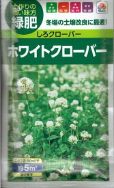 牧草種子　『　タキイ種苗　』　ホワイトクローバー　60ml袋詰　【　送料込み　】