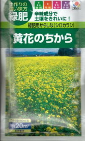 牧草種子　『　タキイ種苗　』　黄花のちから　緑肥用からしな(シロカラシ)　60ml袋詰　【　送料込み　】