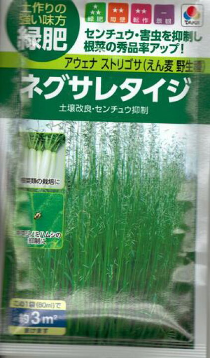 楽天市場】牧草種子 『 タキイ種苗 』 ネグサレタイジ アウェナストリゴサ(えん麦 野生種) 60ml袋詰 【 送料無料 】 : 鈴乃園 楽天市場店 楽天市場】牧草種子 『 タキイ種苗 』 ネグサレタイジ アウェナストリゴサ(えん麦 野生種) 60ml袋詰 【 送料無料 】 : 鈴乃園 楽天市場店