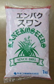 牧草種子 エンバク「スワン」　1kg／20kg（カネコ種苗）【送料込み】燕麦 エン麦 えん麦