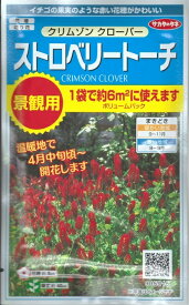 【お徳用・大袋】牧草種子 クリムゾンクローバー「ストロベリートーチ」　 30g（約6平米分）（サカタのタネ）　【送料込み】　景観用／クローバー