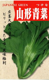 野菜種子　【高菜種子】　山形青菜　8ml袋詰　『送料込み』
