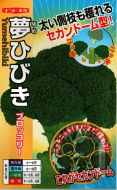 野菜種子 ブロッコリー「夢ひびき」0.7ml（約90粒）／2ml／5ml／20ml／コート100粒／コート500粒／コート1,000粒／コート5,000粒（ナント種苗）【送料込み】 ゆめひびき ユメヒビキ おかわりクン 高秀品率 セカンドーム型 極早生