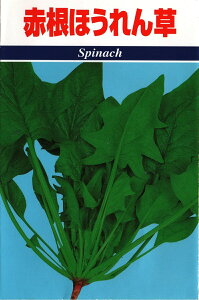 yR``؁z@؎quԍق񑐁v30ml@y݁z @@ zE ˂ق񂻂 AJlzE\E ~