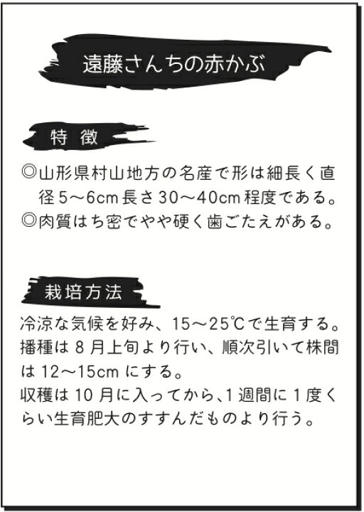 楽天市場 かぶ 伝統野菜 遠藤さんちの赤かぶ 8ml詰 送料無料 鈴乃園 楽天市場店