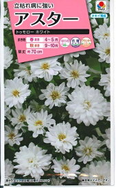 花種子 アスター「トゥモロー ホワイト」　0.3ml（約30本分）（タキイ種苗）　【送料込み】蝦夷菊／エゾギク／薩摩菊／サツマギク