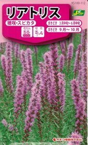 Ԏq AgXuEXsJ^v1mliJlRcj@y݁ziًe^LMN