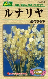 花種子「ルナリヤ」　 0.4ml（カネコ種苗）　【送料込み】