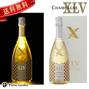 XLV Vp uhu ON ~iX UrG C Bg XAVIER LOUIS VUITTON XLV Xp[NOC Vp  Mtg v[g 킢  yY 
