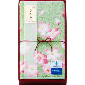 |̂ oX}bg|095032GR v[g j aj hV̓ ̓ ̓ Əɂ