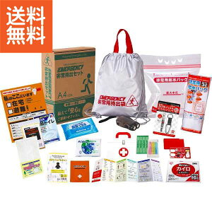 �y���������z|��펝�o15�_�Z�b�g|CSM�[FA �v���[���g ���j�� �a�����j�� �h�V�̓� ��̓� ���̓� ���Ə���ɂ�