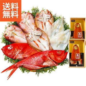 y/z|炷݂ƊZbg|SHK[100 v[g j aj hV̓ ̓ ̓ Əɂ