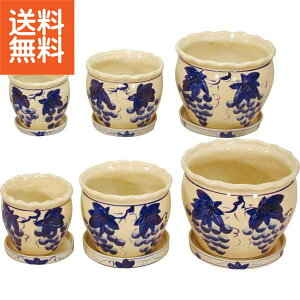 【送料無料/直送】|陶器植木鉢6点セット(受皿付)|P03/3DBB−2 プレゼント お祝い 誕生日祝い 敬老の日 母の日 父の日 自家消費にも