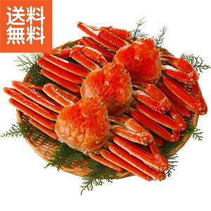 y/z|{C킢Ɏp3iv1D4kgj| v[g j aj hV̓ ̓ ̓ Əɂ