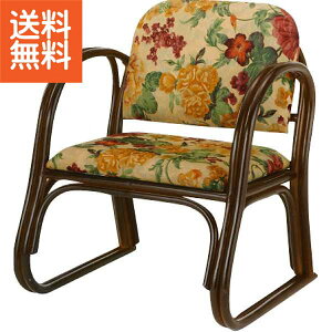 �y��������/�����z|�يy�X�֗����֎q�n�C�^�C�v|R5S109B �v���[���g ���j�� �a�����j�� �h�V�̓� ��̓� ���̓� ���Ə���ɂ�