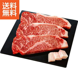 y/z|gV ㋍T[CXe[Lpiv660gj| v[g j aj hV̓ ̓ ̓ Əɂ