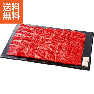 y/z|gVјa[Xēi600gj| v[g j aj hV̓ ̓ ̓ Əɂ