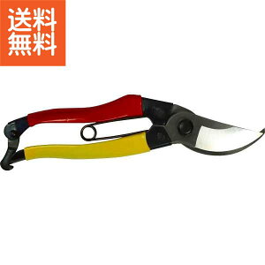 y/z|@ |GS|120B v[g j aj hV̓ ̓ ̓ Əɂ