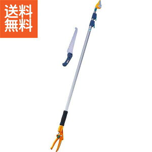 yz||[X3iArn|336|1 v[g j aj hV̓ ̓ ̓ Əɂ