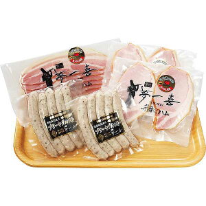 y/z@葢nECi[l/v[g j aj hV̓ ̓ ̓ Əɂ Hi EHi Hi ZbgElߍ킹