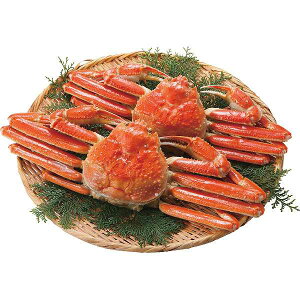 y/z{C킢Ɏp2iv900gj/v[g j aj hV̓ ̓ ̓ Əɂ Hi ށEYHi Jj