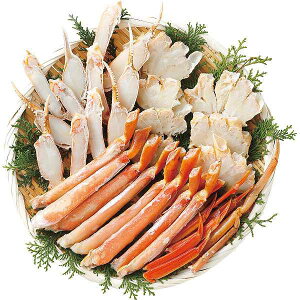 y/z{C킢ɔgi600gj/v[g j aj hV̓ ̓ ̓ Əɂ Hi ށEYHi Jj