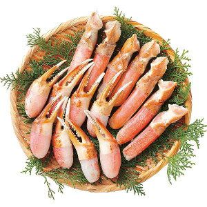 y/z킢ɒ܁܉|[VZbgiv600gj/v[g j aj hV̓ ̓ ̓ Əɂ Hi ށEYHi Jj