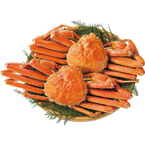 y/zł킢Ɂi2Zbgj/v[g j aj hV̓ ̓ ̓ Əɂ Hi ށEYHi ZbgElߍ킹