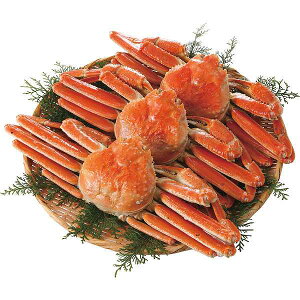 y/z{C킢Ɏp3iv1D4kgj/v[g j aj hV̓ ̓ ̓ Əɂ Hi ށEYHi Jj