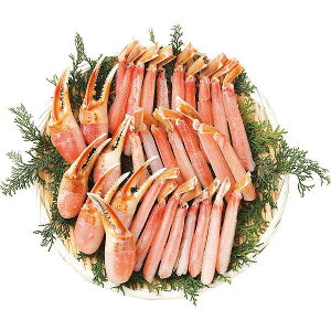 y/z킢ɒ܋r|[VZbgiv630gj/v[g j aj hV̓ ̓ ̓ Əɂ Hi ށEYHi Jj