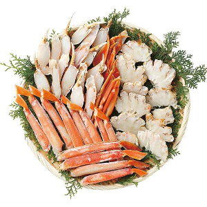 y/z{C킢ɔgi900gj/v[g j aj hV̓ ̓ ̓ Əɂ Hi ށEYHi Jj