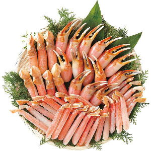 y/z킢Ƀ|[VZbgiv1D3kgj/v[g j aj hV̓ ̓ ̓ Əɂ Hi ށEYHi Jj