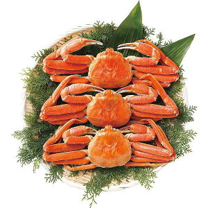 y/zъIƂ킢ɃZbgiv2D8kgj/v[g j aj hV̓ ̓ ̓ Əɂ Hi ށEYHi ZbgElߍ킹