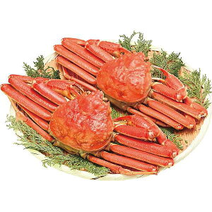 y/zł킢Ɏp2Zbg/v[g j aj hV̓ ̓ ̓ Əɂ Hi ށEYHi Jj