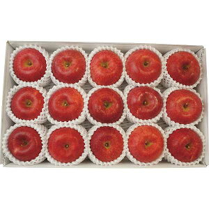 お歳暮/人気の季節のフルーツ 【送料無料/直送】フルーツ |長野県産 サンふじりんご(3.4kg)| 冬ギフト 御歳暮 お歳暮専用 詰め合わせ セット お歳暮/フルーツ お歳暮 お年賀 冬ギフト お