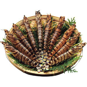 Ε/YEC̍K YY CNMtg y/z |^ԊCVi230gj| ~Mtg N N 蕨   Ԃ j v[g т̂ Zbg O 