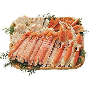 Ε/YEC̍K YY CNMtg y/z |{C킢ɁјaĂZbg| ~Mtg Ε Εp lߍ킹 Zbg Ε/C̍K