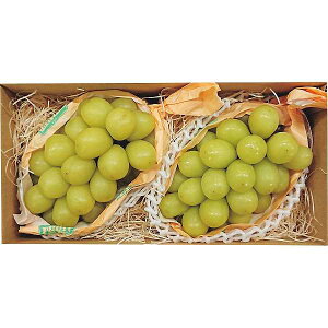 お歳暮/人気の季節のフルーツ 【送料無料/直送】 フルーツ|長野県産 シャインマスカット(2房)| 冬ギフト 御歳暮 お歳暮専用 詰め合わせ セット お歳暮/フルーツ お歳暮 お年賀 冬ギフト