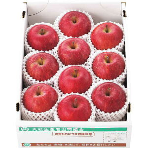 お歳暮/人気の季節のフルーツ |山形県産 サンふじりんご(3kg)| お歳暮 お年賀 冬ギフト お歳暮/人気産地直送品 お歳暮/フルーツ