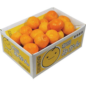 お歳暮/早割【お歳暮/直送/送料無料】フルーツ |和歌山県産 有田みかん(3kg)| 冬ギフト 御歳暮 お歳暮専用 詰め合わせ セット お歳暮/フルーツ