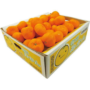 お歳暮/人気の季節のフルーツ 【送料無料/直送】 フルーツ|和歌山県産 有田みかん(5kg)| 冬ギフト 御歳暮 お歳暮専用 詰め合わせ セット お歳暮/フルーツ お歳暮 お年賀 冬ギフト お歳暮/