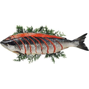 Ε/YEC̍K yΕ//zgpؐgi1j Ε/YEC̍K Zbg 蕨   Ԃ j v[g ƒp Y TP  H V V