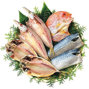 Ε/YEC̍K yΕ//z킶܂̒Zbgi47j ~Mtg N N 蕨   Ԃ j v[g  Zbg lߍ킹 ΂ O