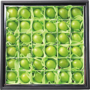 Ε/lC̋G߂̃t[c |VC}XJbgli36j| Ε N ~Mtg Ε/lCYni Ε/t[c