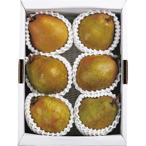 Ε/lC̋G߂̃t[c |コ̑ʒI胉EtX@2kgi5`6ʁj| Ε N ~Mtg Ε/lCYni Ε/t[c