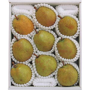 Ε/lC̋G߂̃t[c |コ̑ʒI胉EtX@3kgi6`9ʁj| Ε N ~Mtg Ε/lCYni Ε/t[c