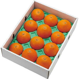 Ε/lC̋G߂̃t[c QY@g܂ǂȁ@Gii3kgj~Mtg Ε Εp lߍ킹 Zbg Ε/t[c Ε N ~Mtg Ε/lCYni Ε/t