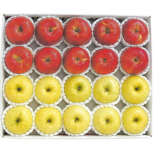 お歳暮/人気の季節のフルーツ 【送料無料/直送】 フルーツ|青森県産 サンふじりんご&王林(5kg)| 冬ギフト 御歳暮 お歳暮専用 詰め合わせ セット お歳暮/フルーツ お歳暮 お年賀 冬ギフト